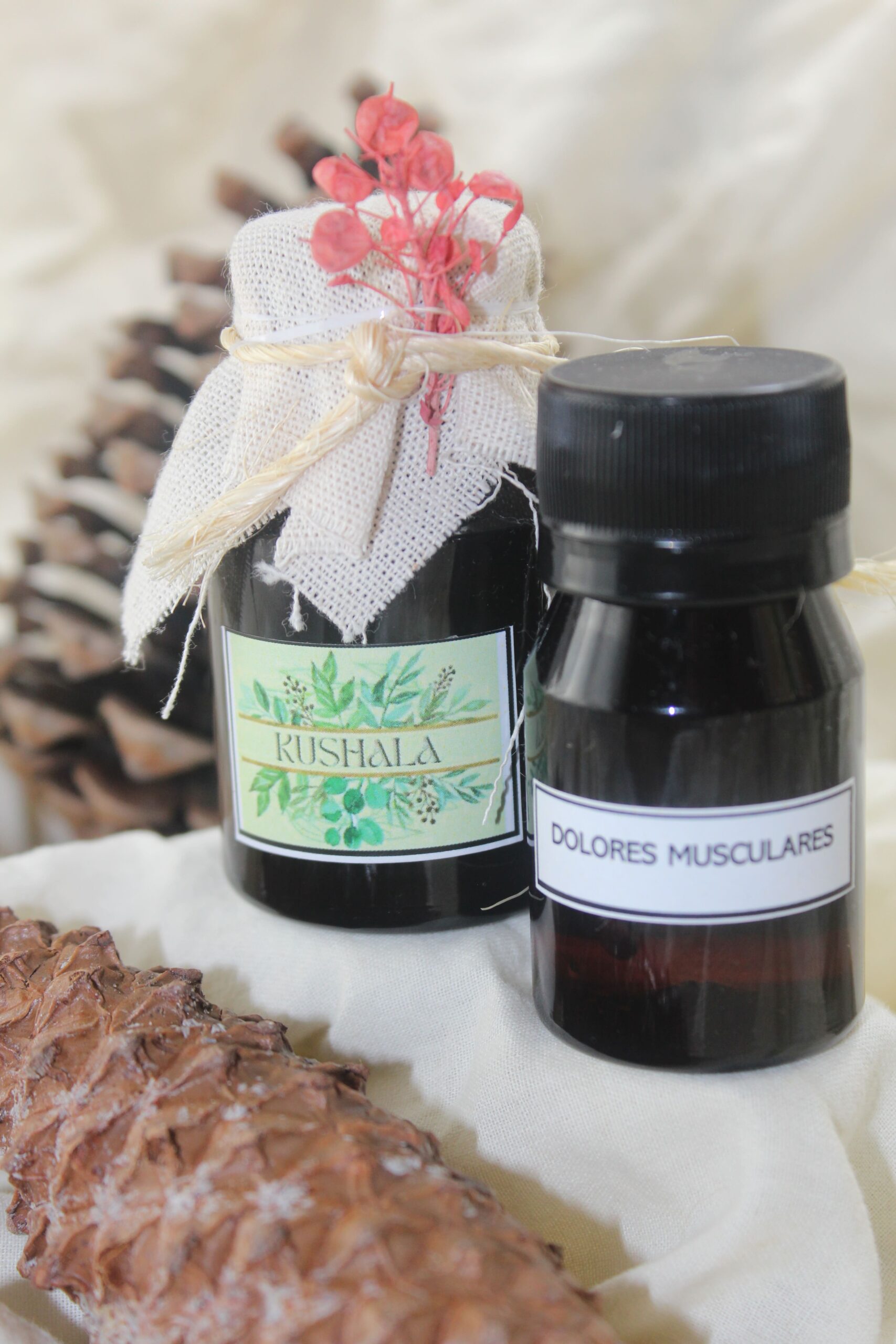 Blend Dolores Musculares