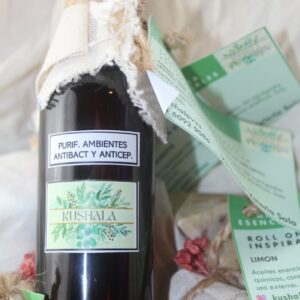 Purificador de Ambientes